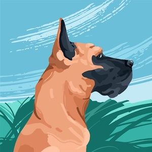 Meet your Posher, Jessie